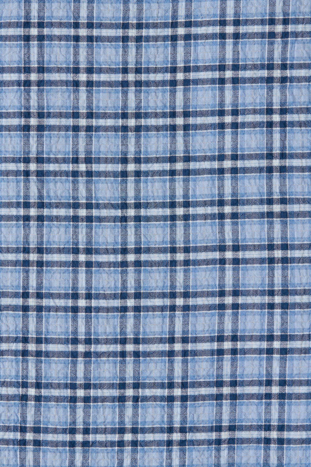 Agora Skirt Vintage Blue Check
