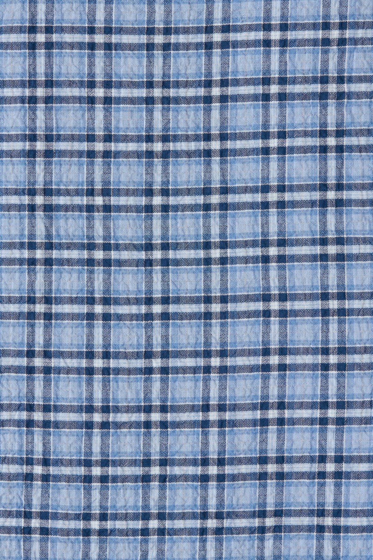 Agora Skirt Vintage Blue Check