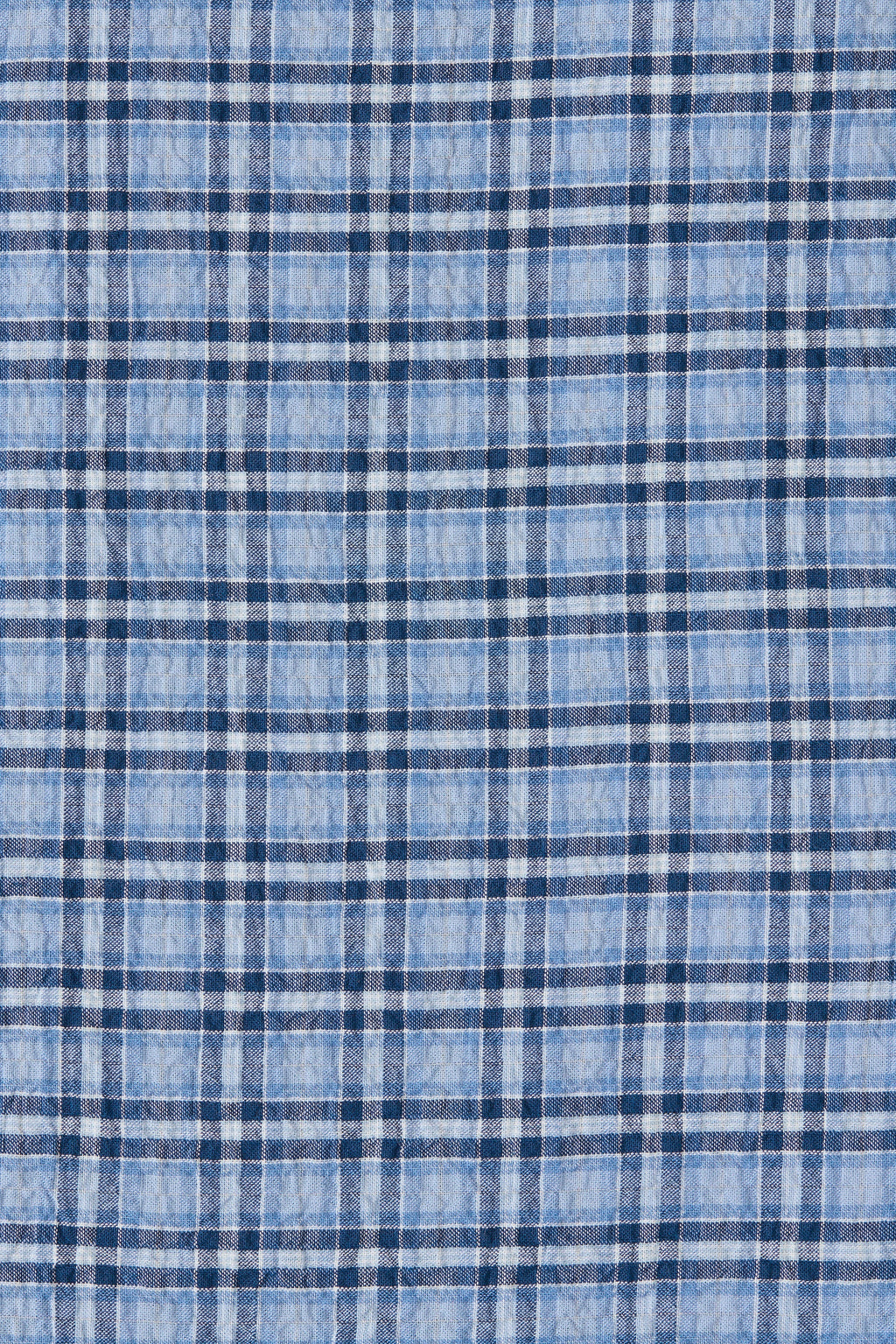 Pelea Top Vintage Blue Check