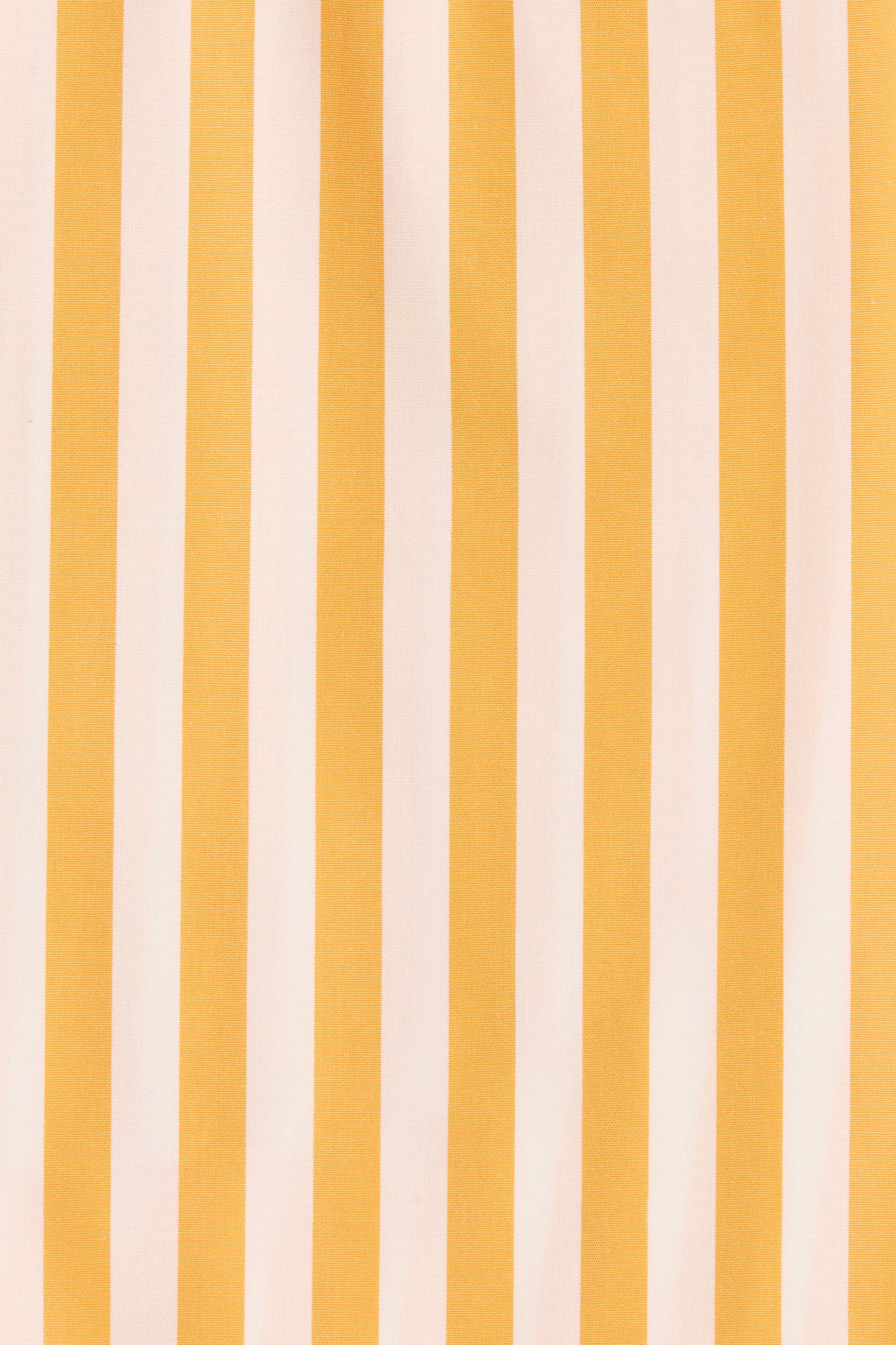 Clemente Short Orozco Stripe Mustard - Final Sale