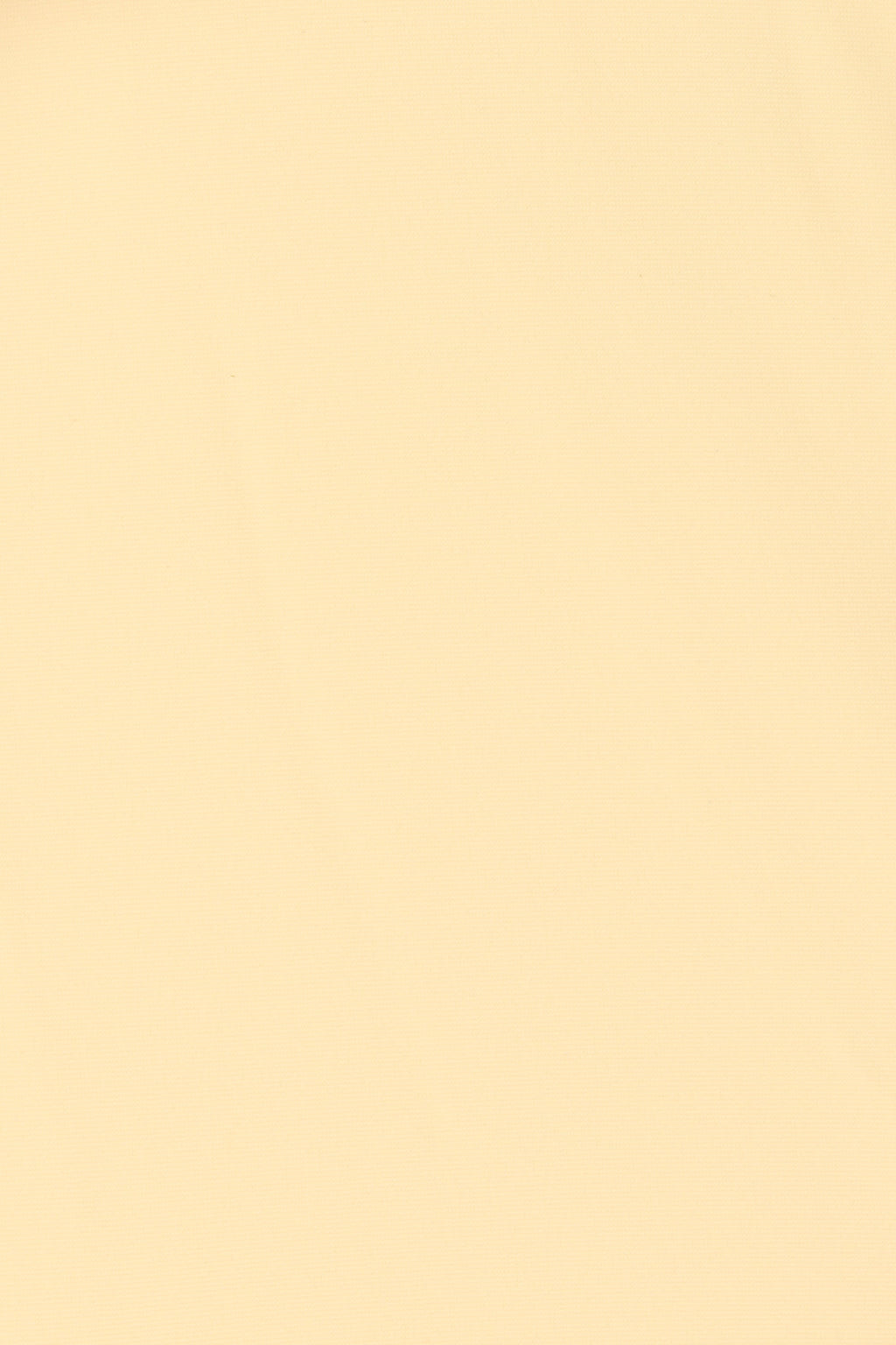 Eden Bikini Bottom Buttermilk - Final Sale