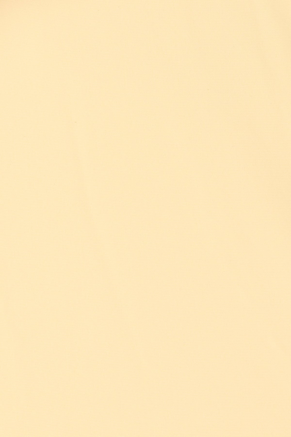 Eden Bikini Bottom Buttermilk - Final Sale